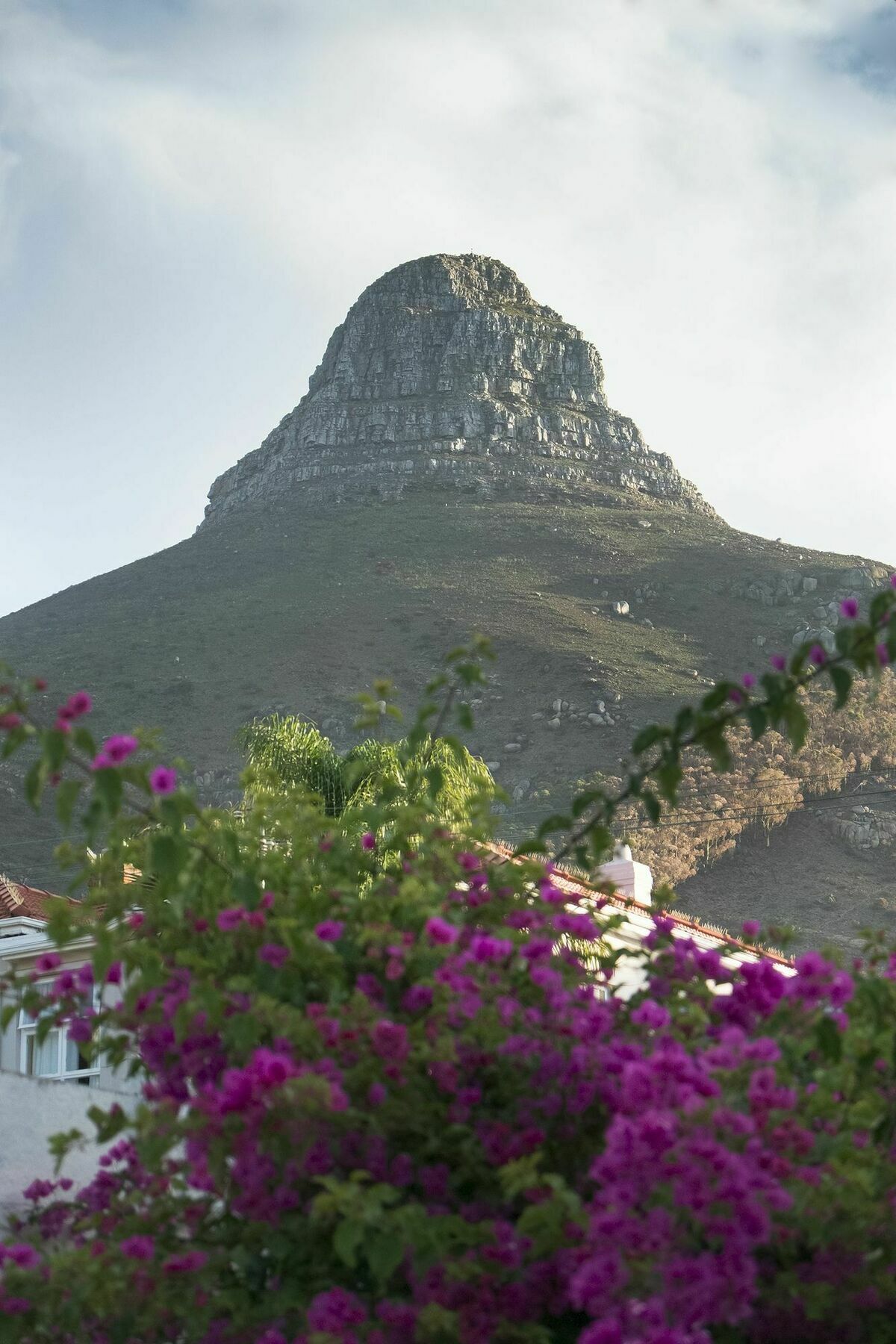 Rhonda'S Manor Boutique Guesthouse Cape Town Ngoại thất bức ảnh